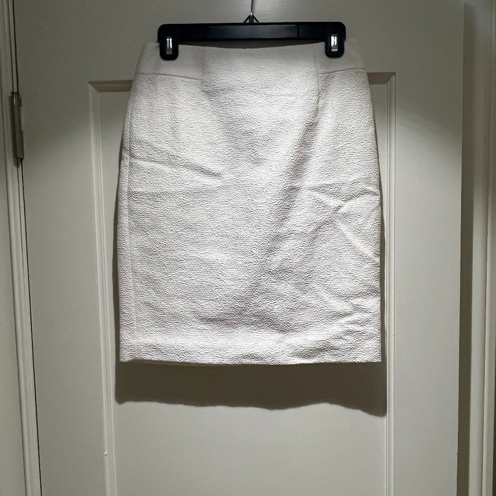 Ann Taylor Skirt
